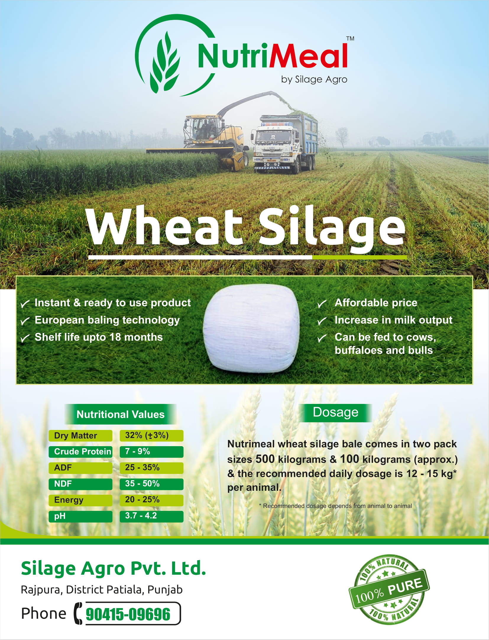 Wheat Silage