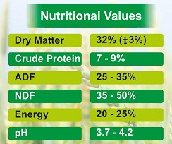 Wheat Silage Nutritional Values